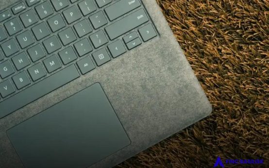 How Secure Are Password Managers? Unveiling the Truth